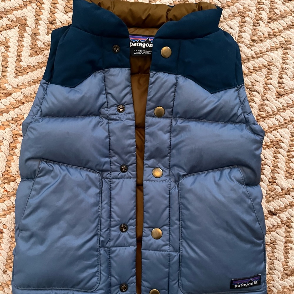 Patagonia Two-Tone Blue and Brown Vest